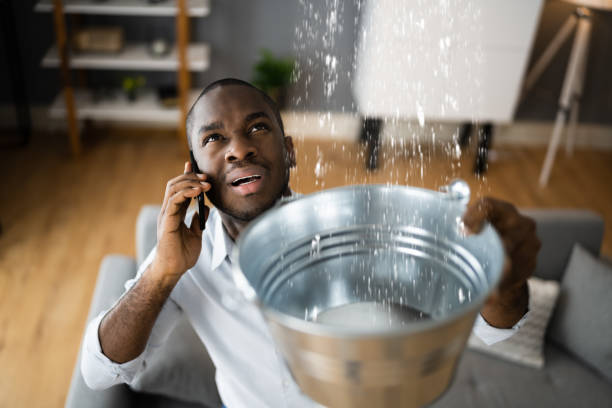 Best Sewage cleanup and water damage restoration  in Harb, OR