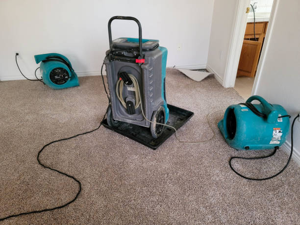 Best Water damage cleanup near me  in Harb, OR