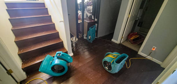 Best Water damage restoration process  in Harb, OR