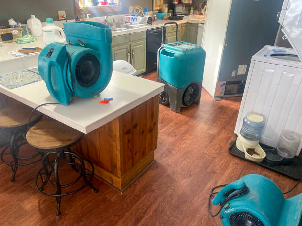 Water damage restoration insurance claims in Harbor, OR