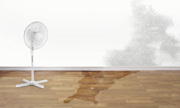 Local water damage restoration in Harbor, OR