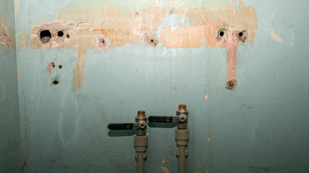 Best Commercial water damage restoration  in Harb, OR