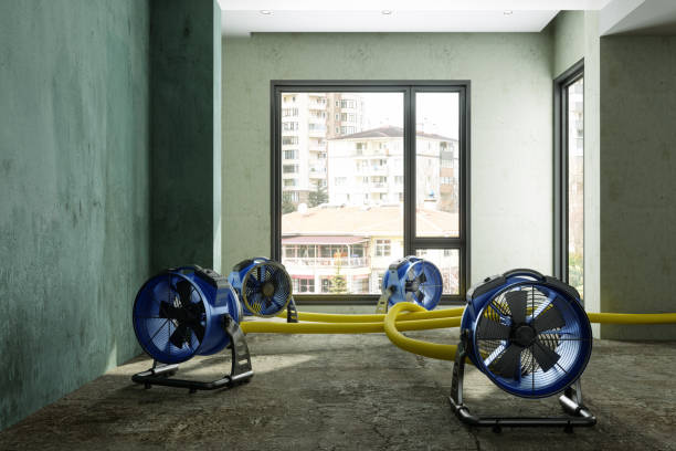 Best Professional water damage repair  in Harb, OR